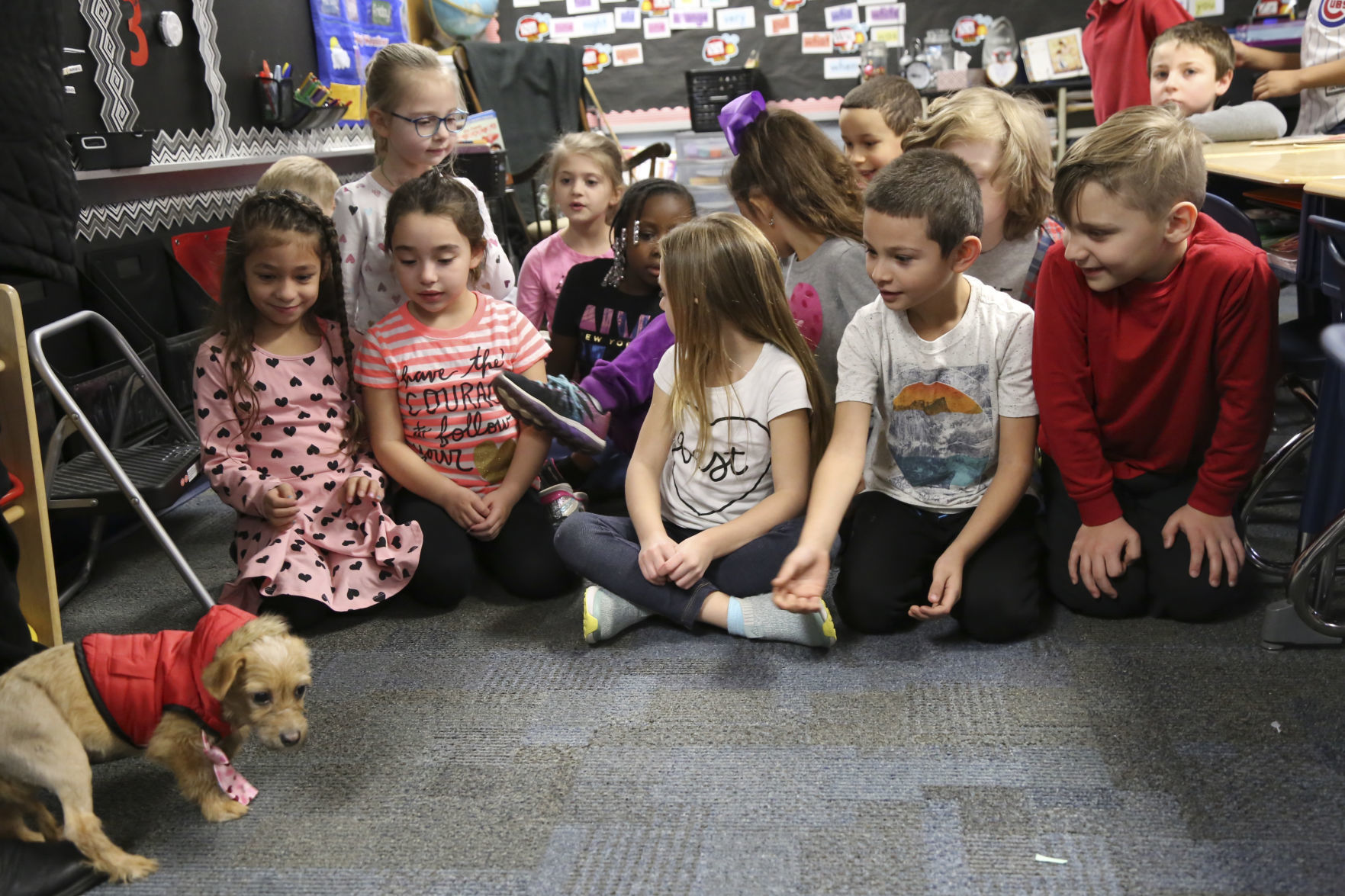Louie the dog visit Southridge Elementary